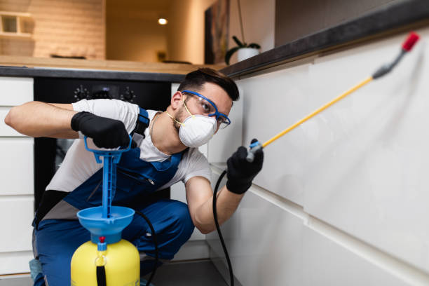 Best Termite Control Services  in Munford, AL