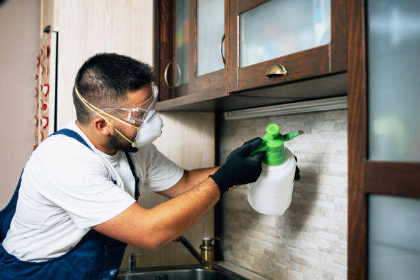 Best Best Pest Control Companies  in Munford, AL