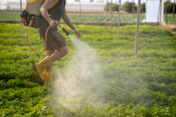 Best Pest Control for Homes  in Munford, AL