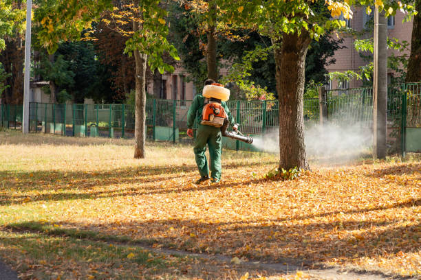 Professional Pest Control in Munford, AL